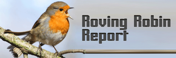 Rovin Report